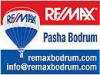 Remax Pasha 3 فى   