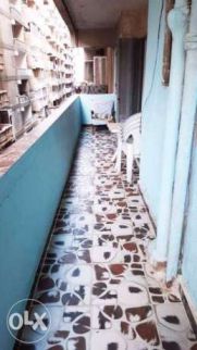 شقة للإيجار فى ميامي - قسم المنتزه - الإسكندرية