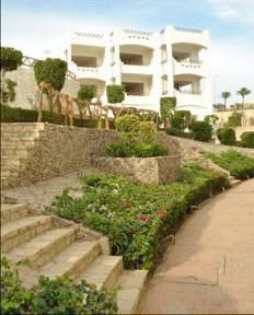 Apartment For Rent In Qesm Sharm Ash Sheikh - South Sinai