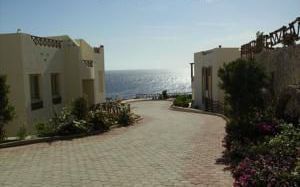 Apartment For Rent In Qesm Sharm Ash Sheikh - South Sinai