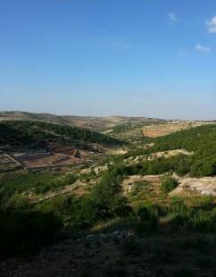 Farm For Sale In Al-Daiya - Al Asimah