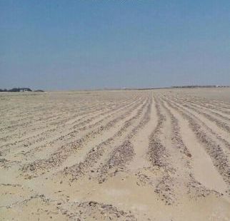 Land For Sale In Al Doha Al Jadeeda - Doha