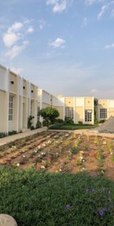 Farm For Rent In Al Halio - Ajman - Ajman