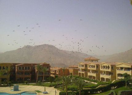 Holiday Villa For Rent In Ain Sokhna - Ataqah - Suez