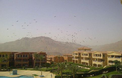 Holiday Villa For Rent In Ain Sokhna - Ataqah - Suez