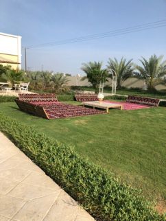 Farm For Rent In Ajman - Ajman
