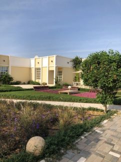 Farm For Rent In Ajman - Ajman