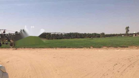 زاهب السعودية | مزرعة للبيع في شارع لم يسمى, حي البدائع | رقم الاعلان:  5133828