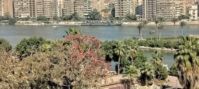 شقة للإيجار فى الجيزة - الجيزة