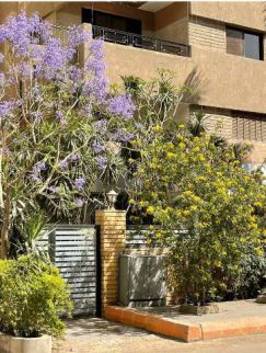 Building For Rent In Ad Doqi - Giza