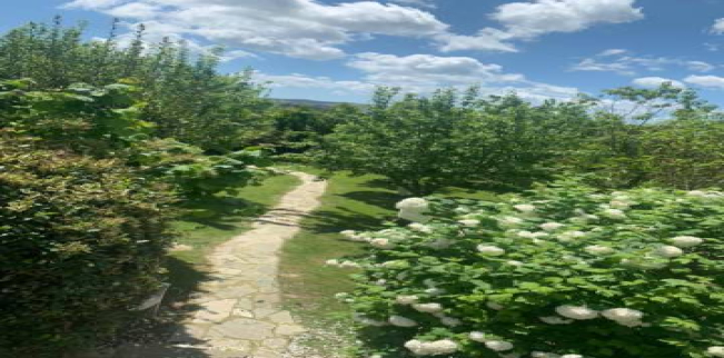 Villa For Sale In Buyukgekmege - Istanbul